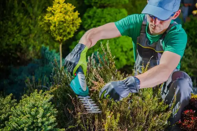 landscaping services Carsonville